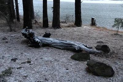 DSC_5831 (Large).JPG